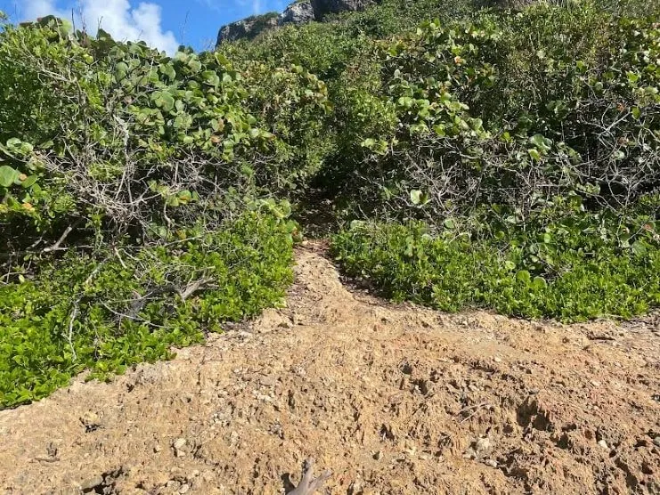 El sendero de Table Top a Survival Beach