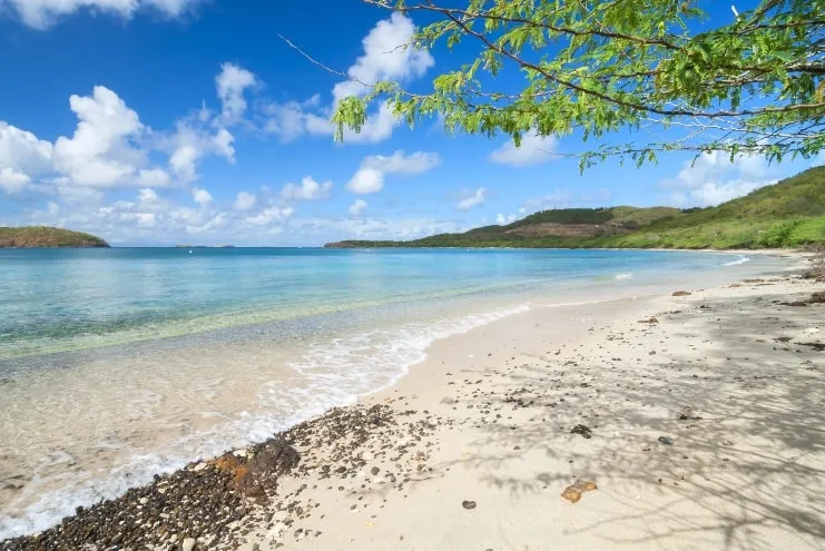 Tamarindo Beach