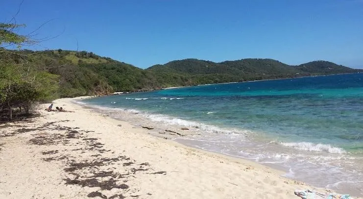 image of Carlos Rosario Beach
