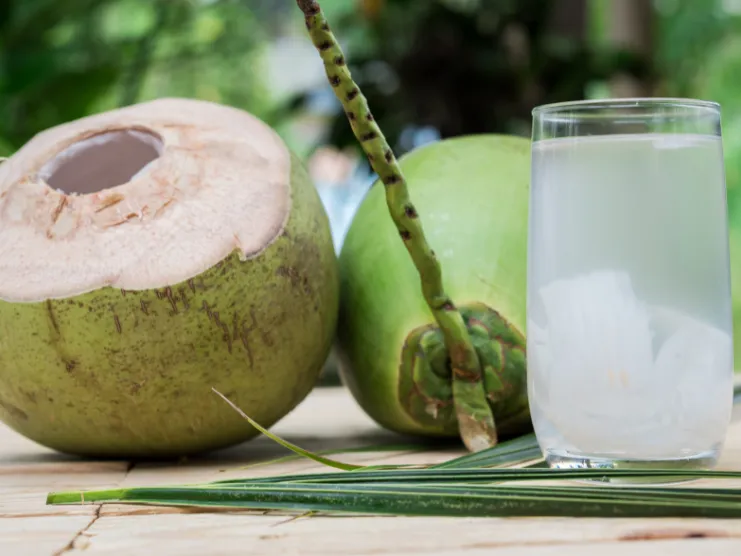 Coco frío servido en Puerto Rico
