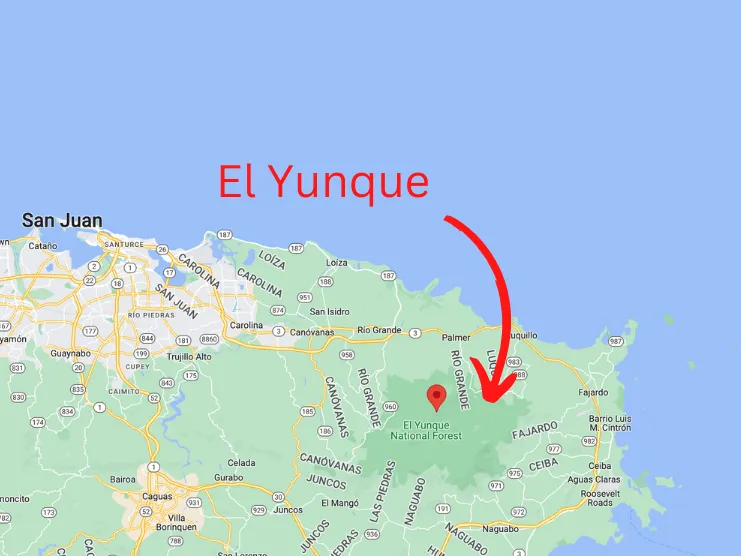 mapa de El Yunque