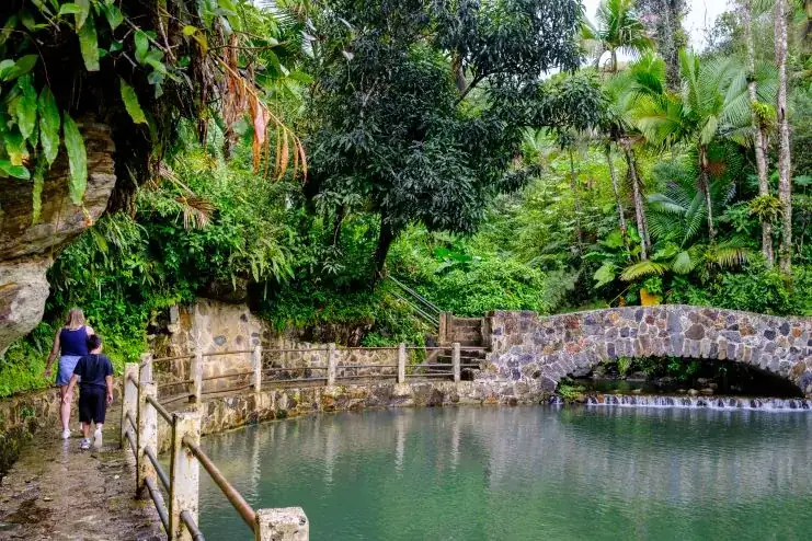 imagen del Bosque Nacional El Yunque