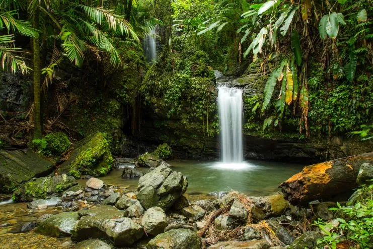 imagen de una cascada en el Bosque Nacional El Yunque