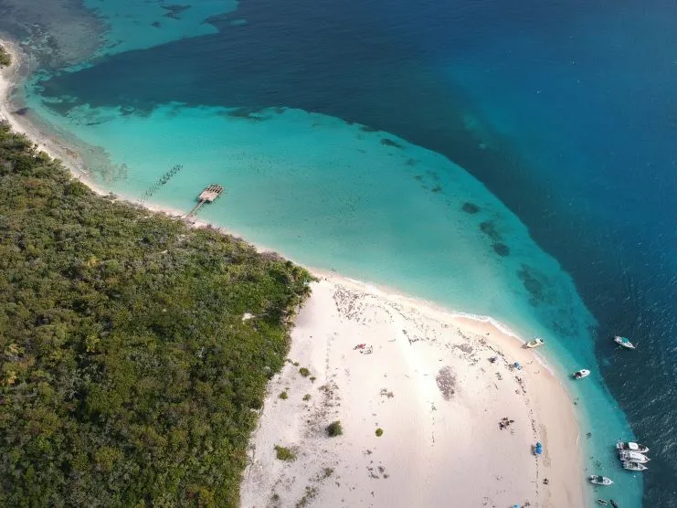 imagen de la isla Icacos