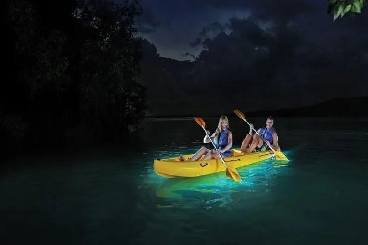 image of 2 people kayaking at night in Bio Bay