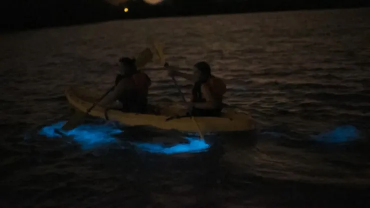 Kayak en la bahía
