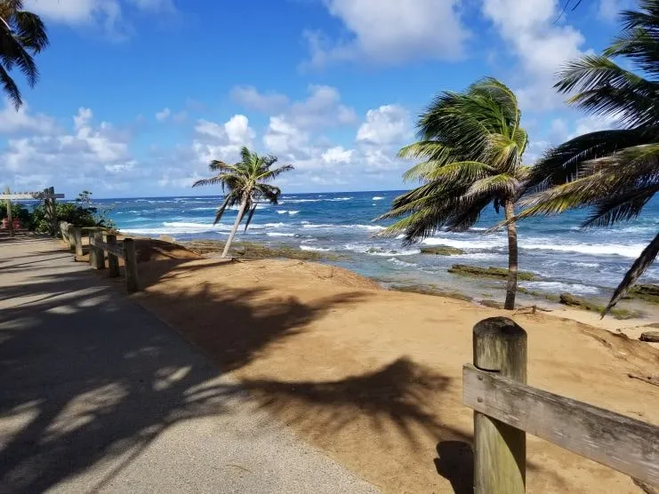 Paseo con palmeras junto a una playa de Loíza