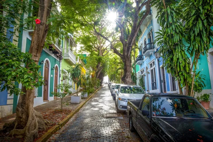 imagen de una calle estrecha en el Viejo San Juan con árboles altos