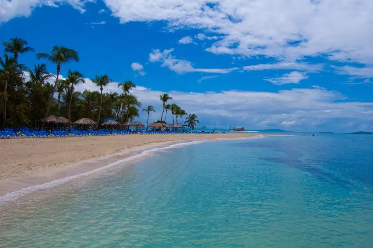 imagen de la isla Palomino