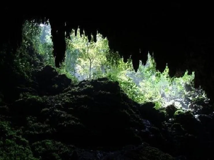 imagen del Parque de las Cavernas del Río Camuy