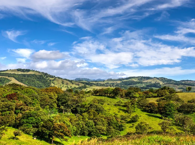 Fincas de café en zona rural de Costa Rica