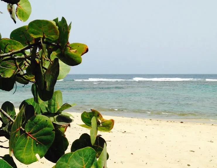 Playa Shacks en Isabela