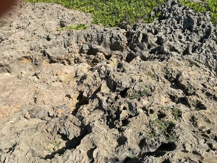Rocas afiladas en el sendero a Survival Beach