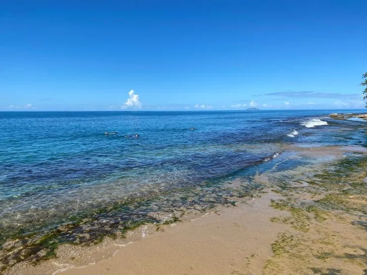 Punto de entrada al agua para hacer snorkel en Steps Beach