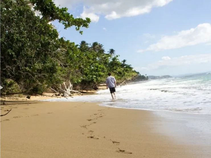 Persona caminando por la orilla de Steps Beach