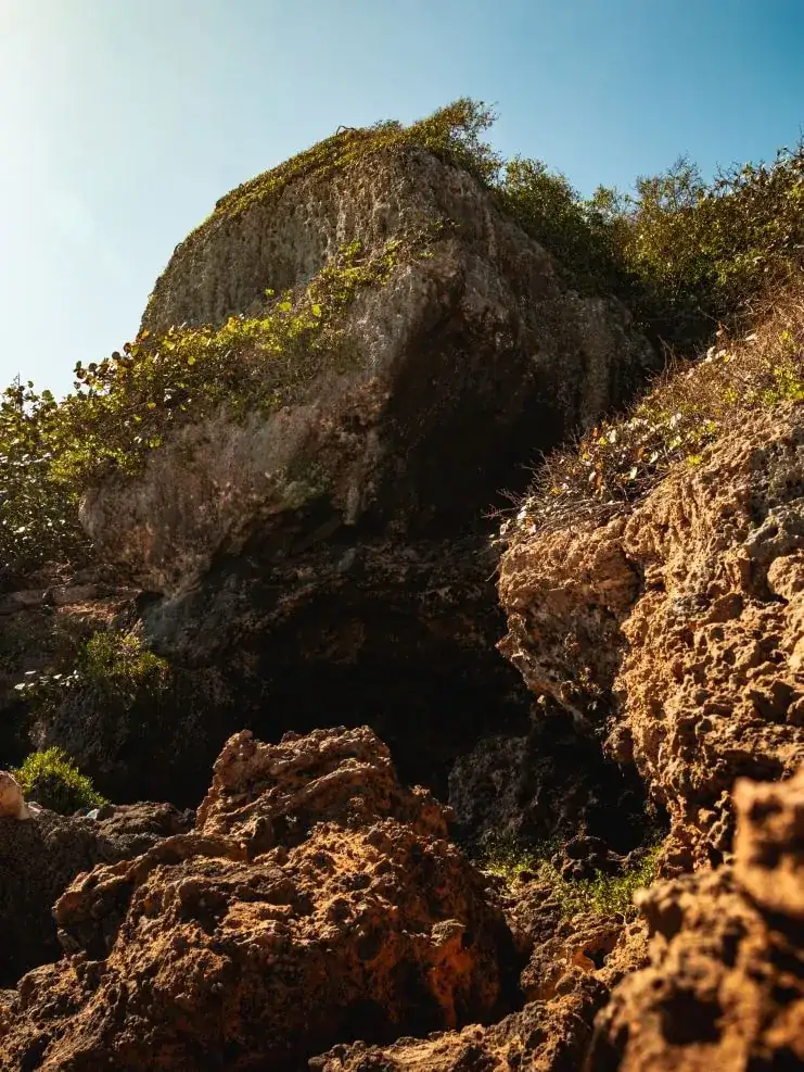 La cueva de Survival Beach
