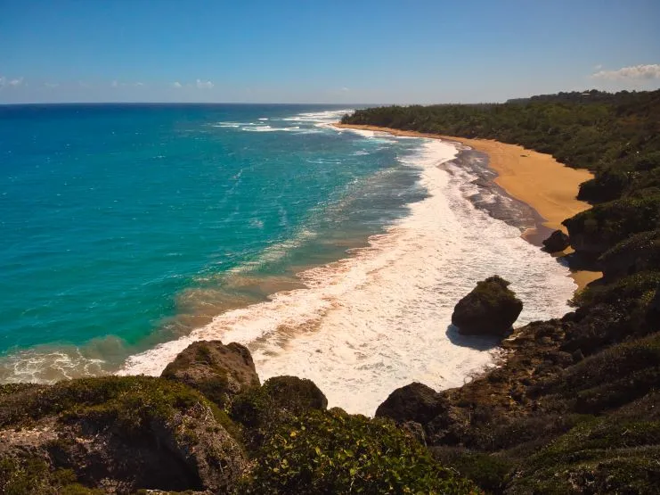 image of Survival Beach