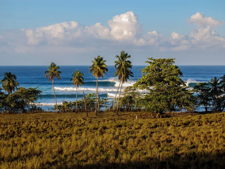 Reserva Marina Tres Palmas en Steps Beach