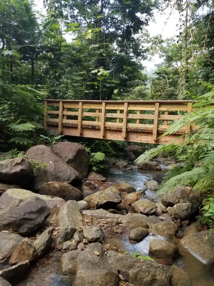 imagen del Angelito Trail