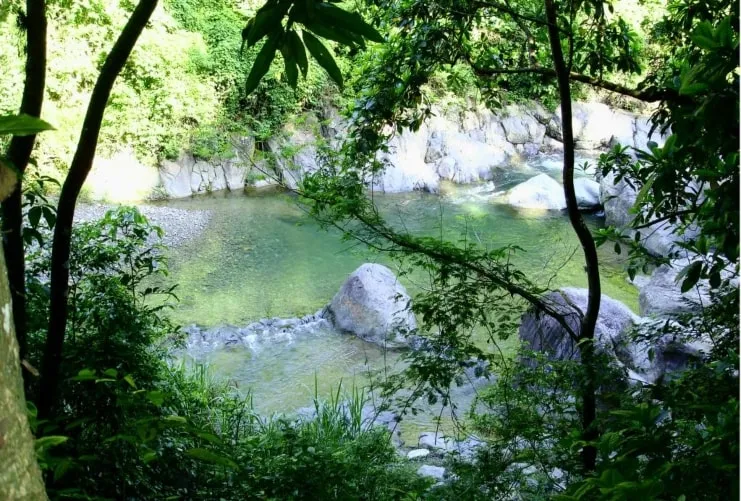 imagen del río Anón