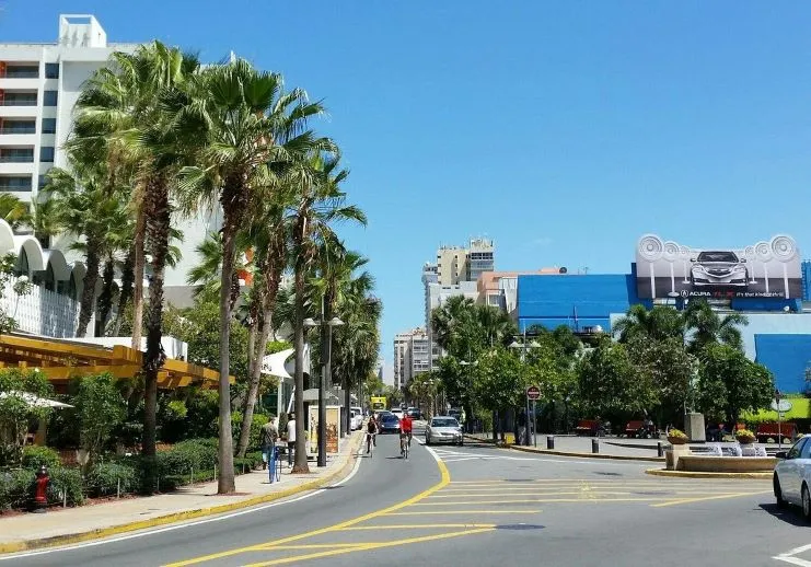 imagen de la avenida Ashford