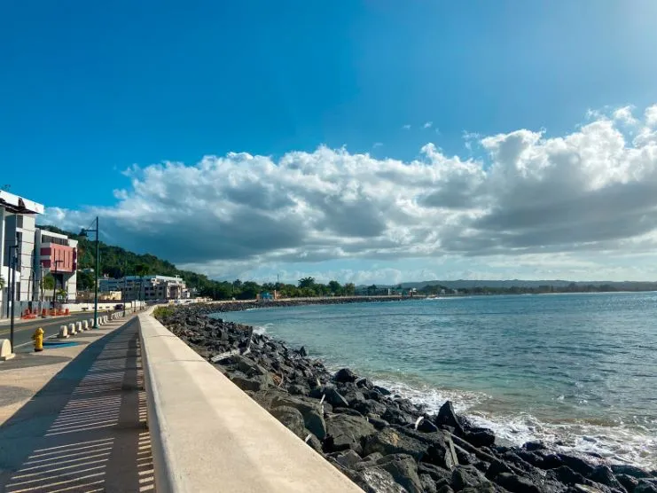 Playa Bridges