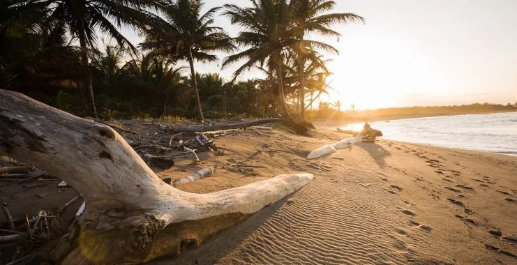 Playa El Único