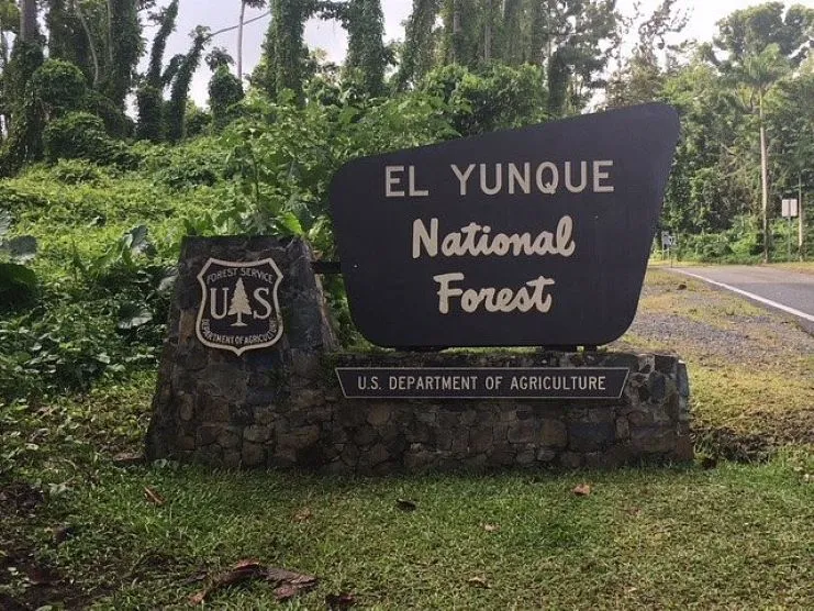 imagen del Bosque Nacional El Yunque