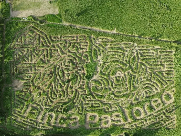 image of the maze in Finca Pastoreo