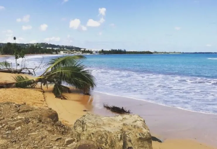 imagen de la playa Fortuna