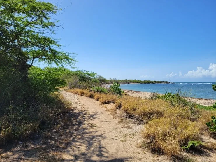 imagen del Guánica Meseta Trail