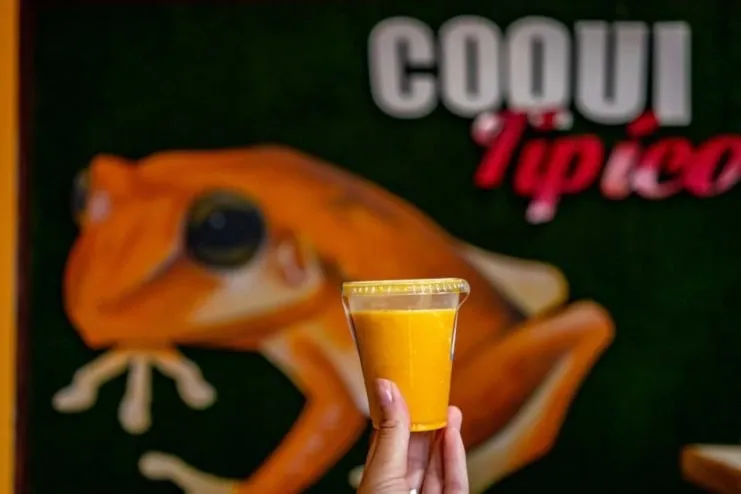 Limber de frutas en vaso plástico