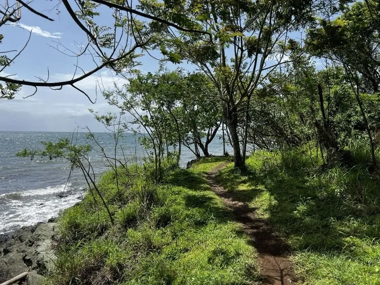imagen del Monte Pirata Trail