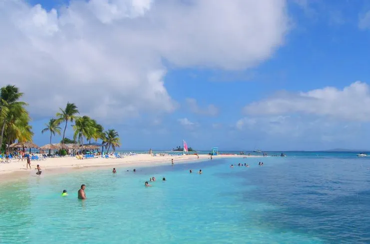 image of Palomino Island