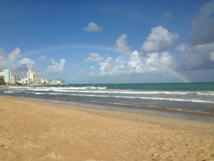 imagen de la playa Pine Grove