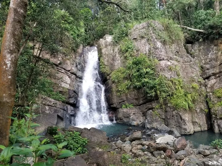 imagen de la Vereda La Mina