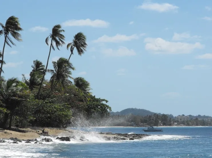 Espuma de las olas en una playa de Rincón