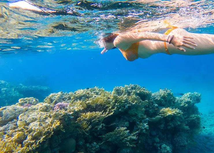 image of a girl snorkeling in Icacos Island 