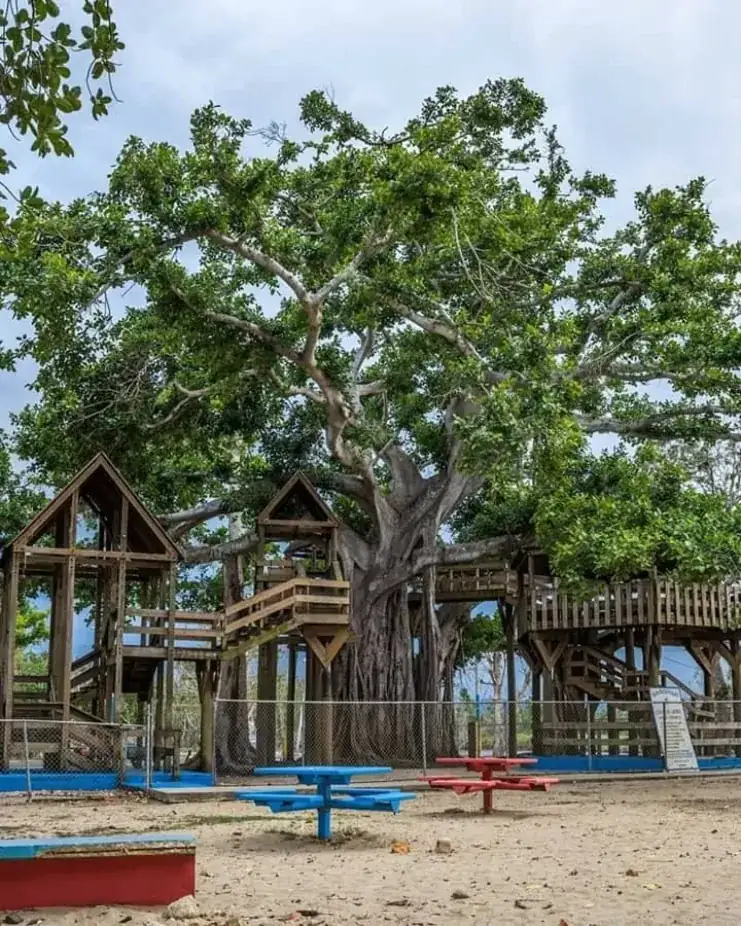 La Casa del Árbol en el Parque Colón de Aguadilla