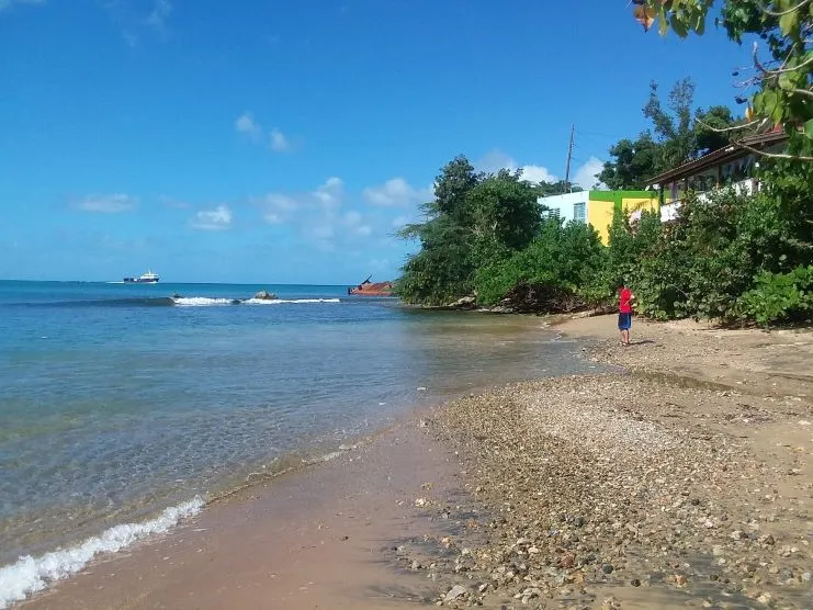 imagen de la playa de vidrio marino