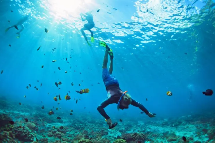 imagen de un chico haciendo snorkel