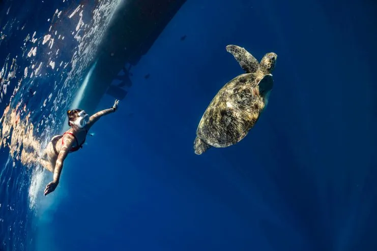 imagen de una muchacha haciendo snorkel con una tortuga marina