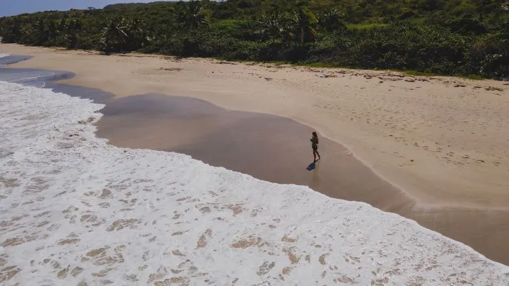 Playa Zoní en Culebra, con arena mojada, una persona cerca de la orilla y palmeras al fondo