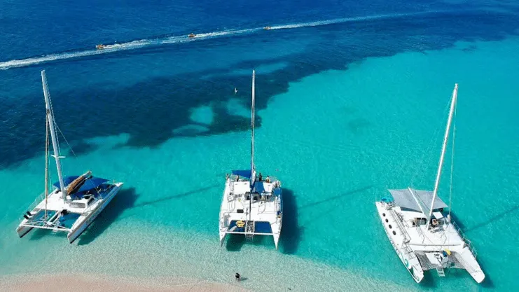 image of Catamaran Spread Eagle
