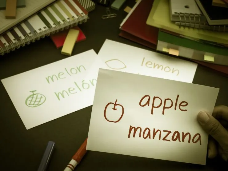 imagen mostrando palabras en inglés y español