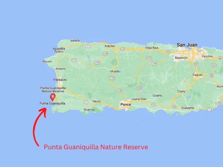 Photo: Punta Guaniquilla Nature Reserve In Cabo Rojo, Puerto Rico (2026)
