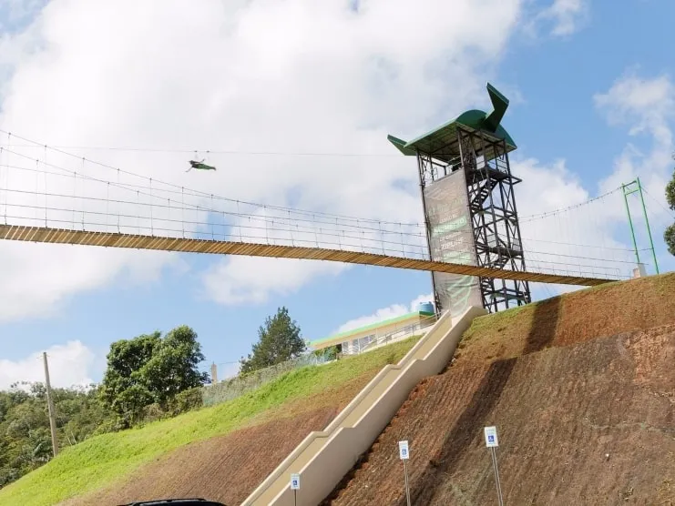 image of The Monster zipline