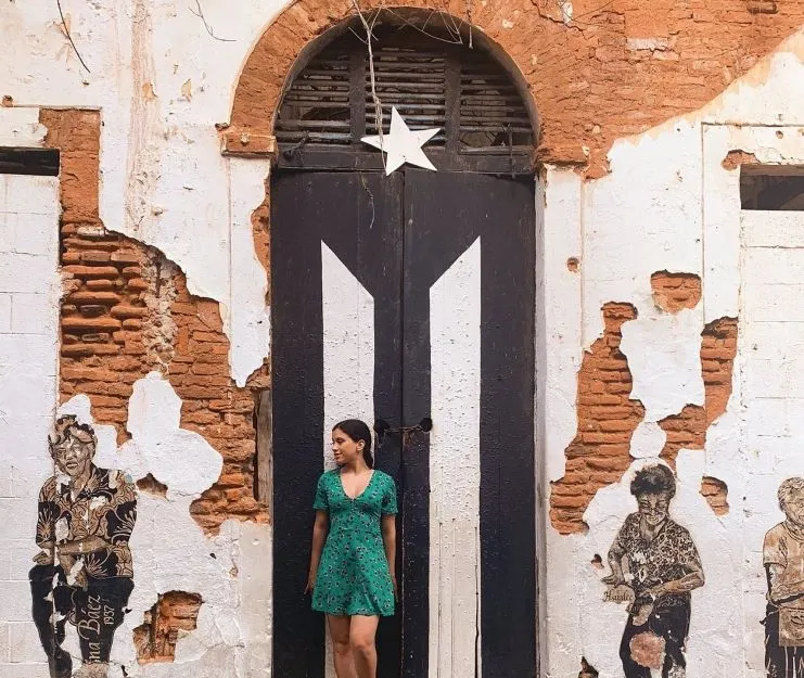 image of the Black Puerto Rican Flag Door