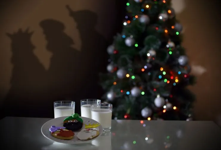 image of cookies and milk left in Christmas tree for the Three Kings