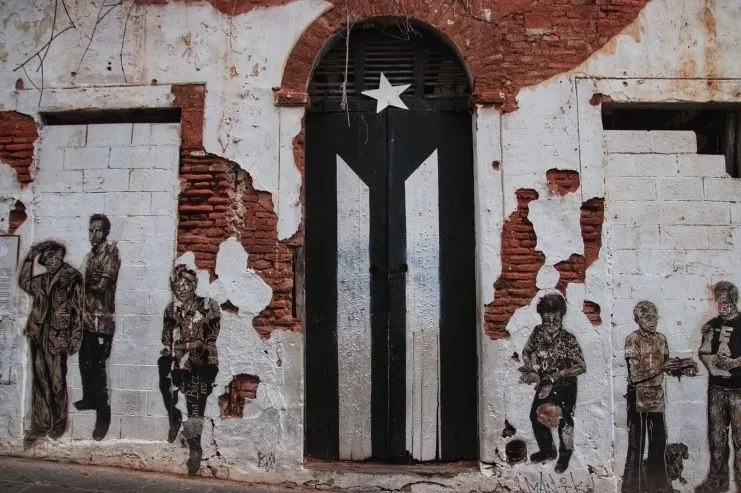 image of the Black Puerto Rican Flag Door